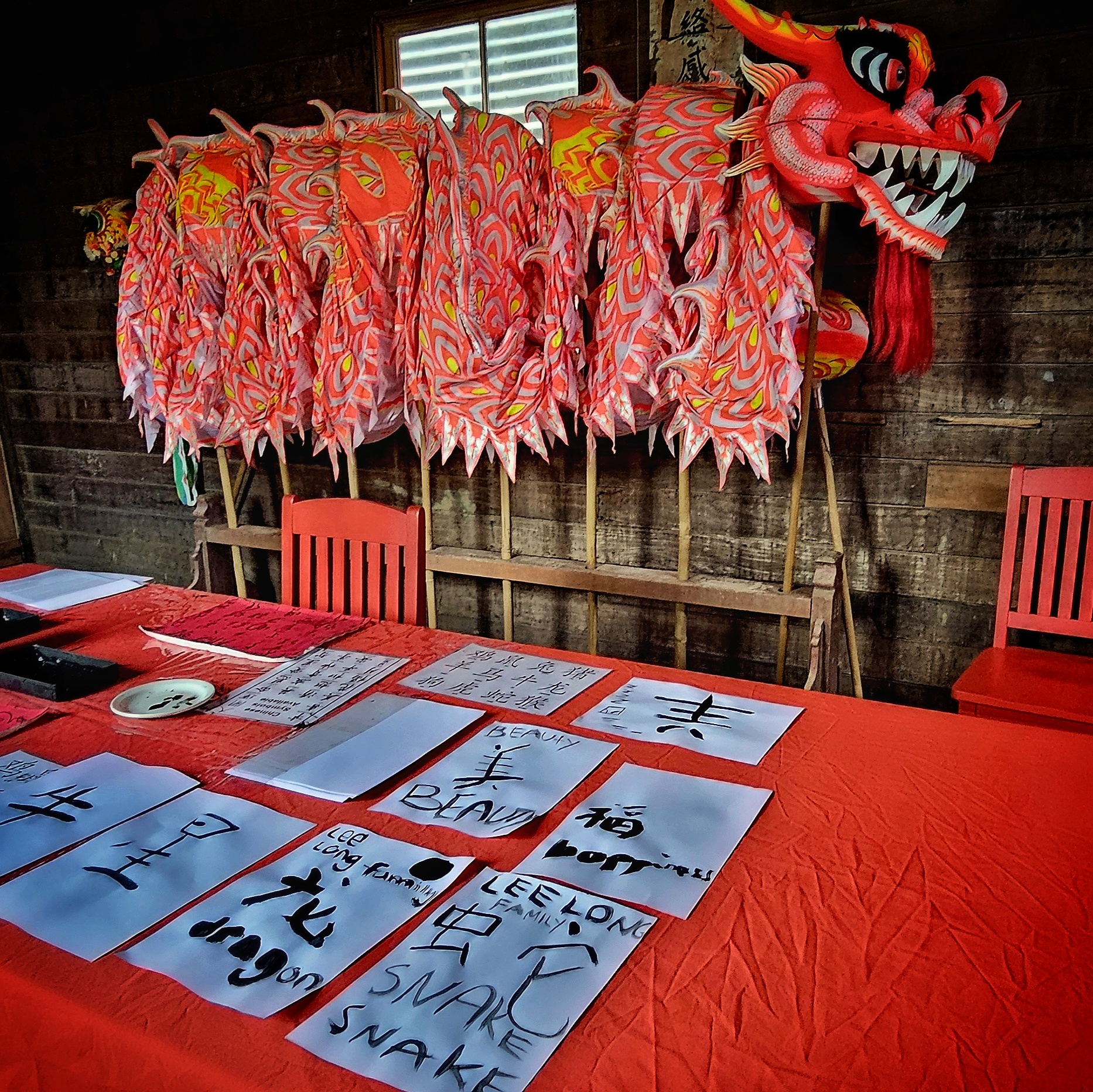 Junior Dragons - A Fun and Creative Experience for Kids