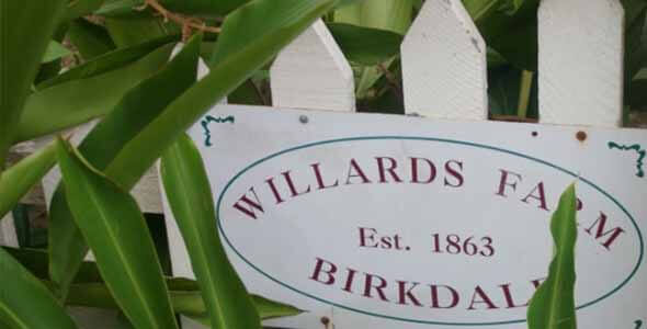 Willard’s Farm