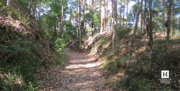 Historic Buderim Tramway Guided Walk