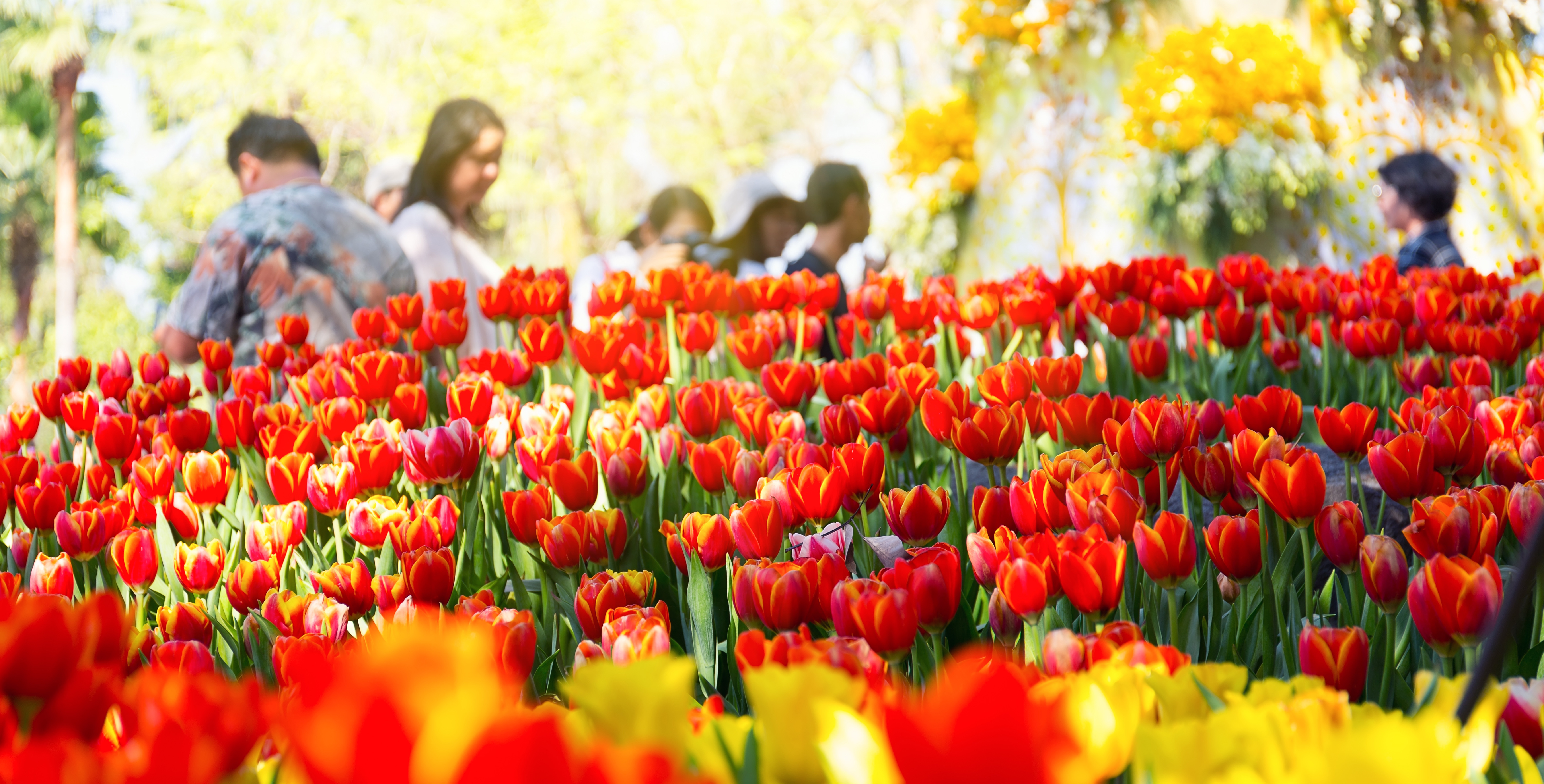 Untitled_flowers.jpg
