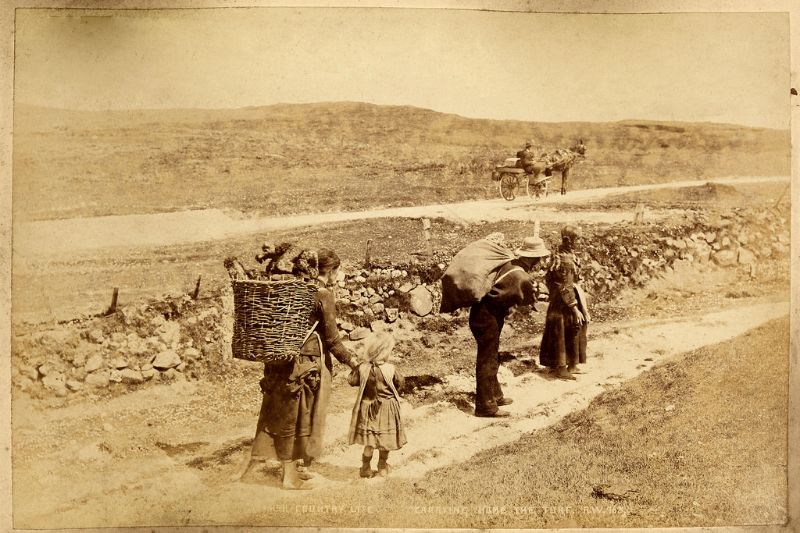Looking for your Irish Ancestors