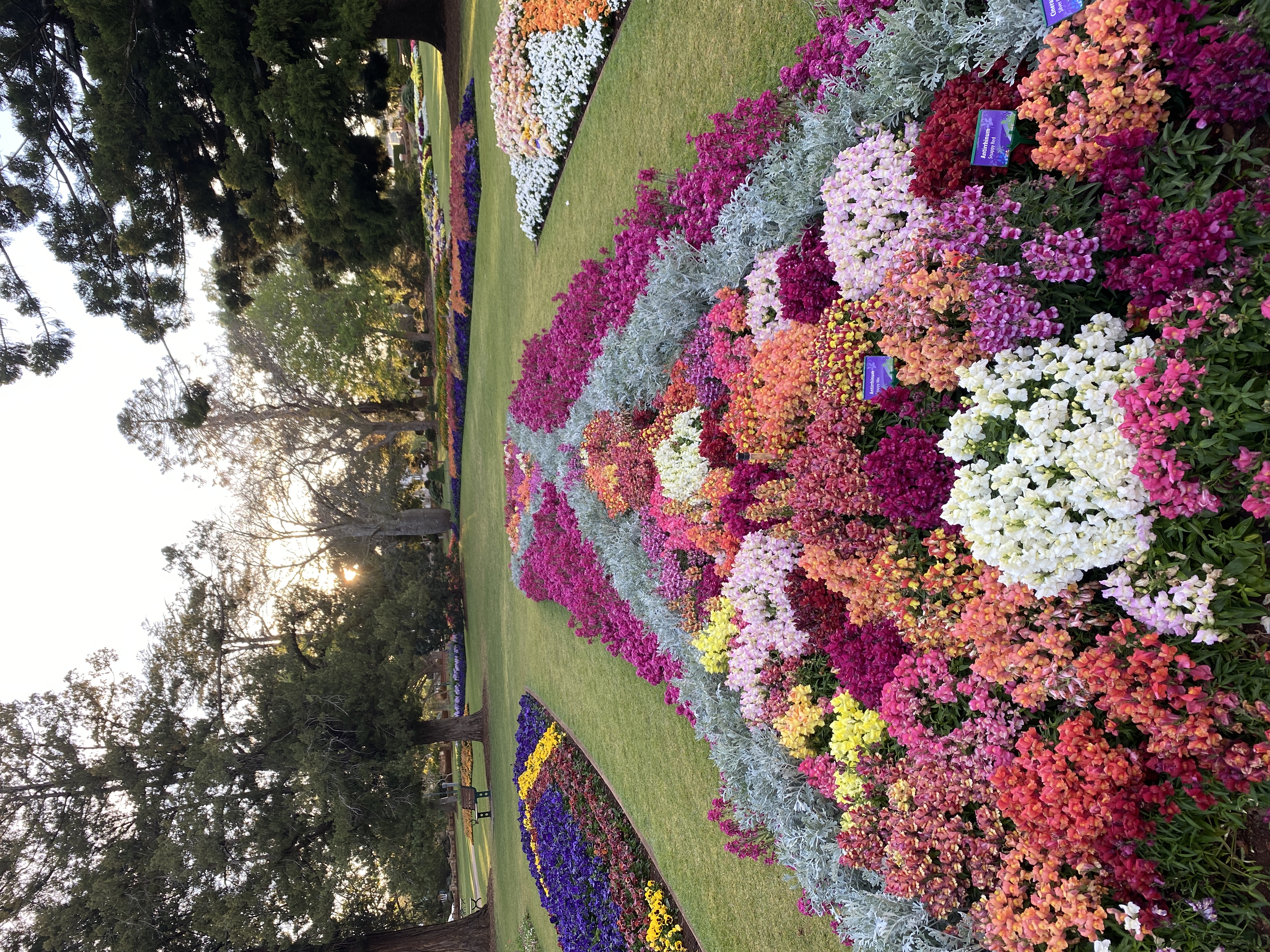 St. Luke's Flower and Music Festival